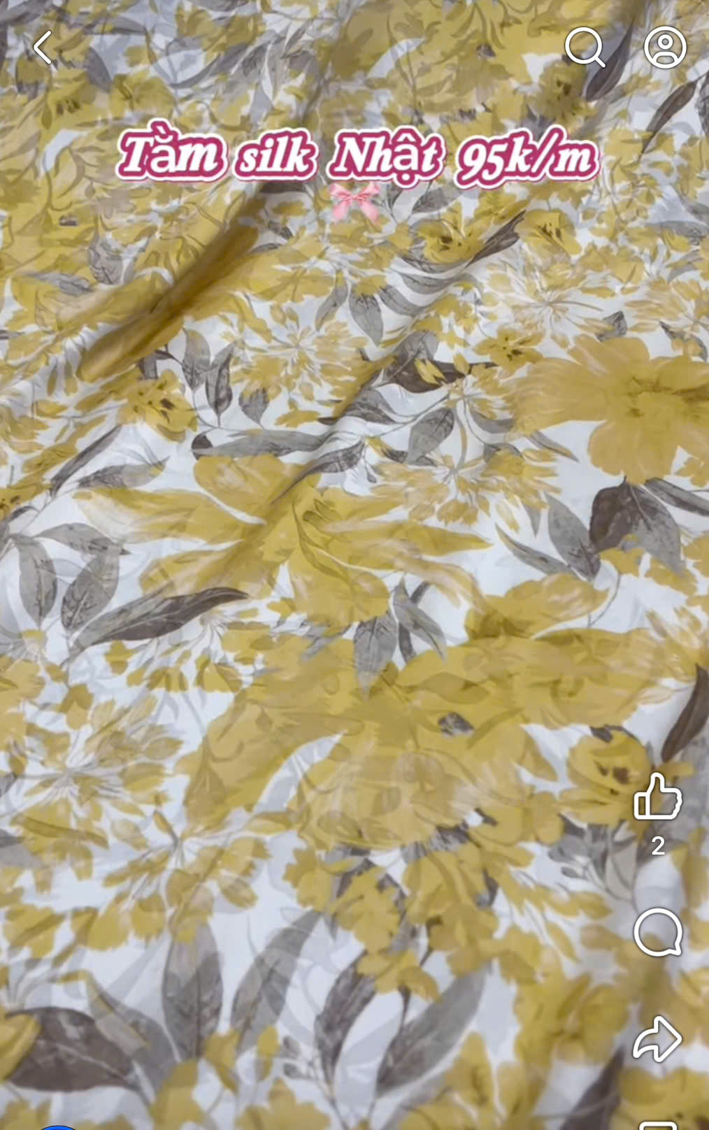 Tằm silk Nhật