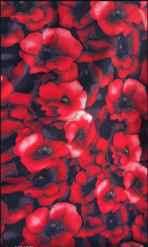silk nhật