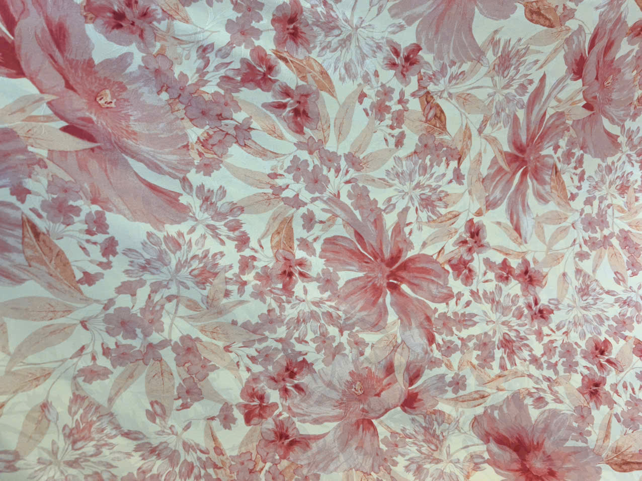 Tằm silk Nhật