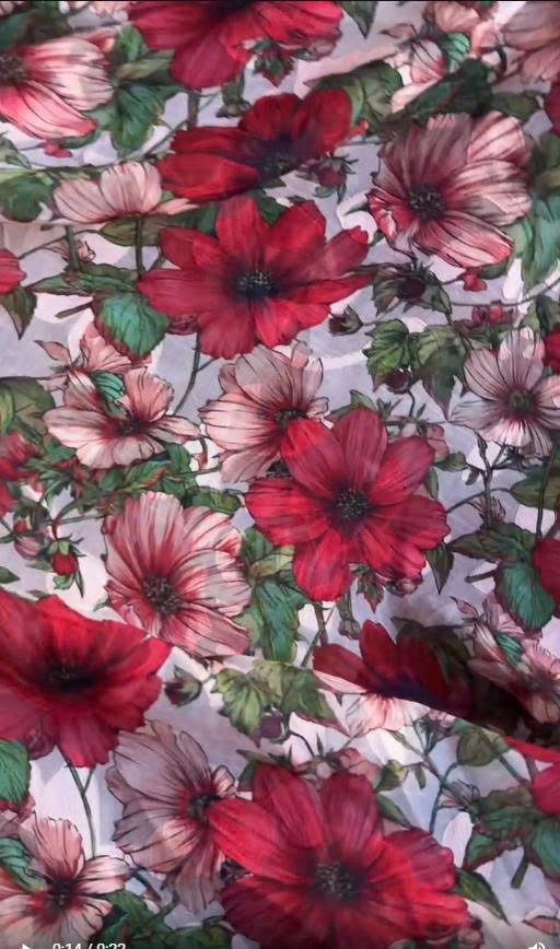 Silk nhật
