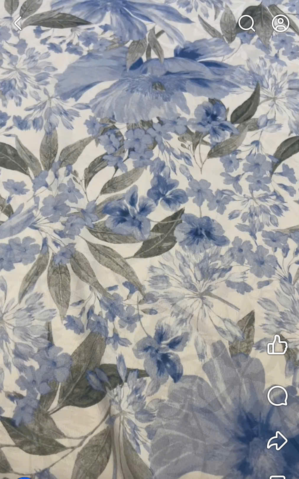 Tằm silk Nhật