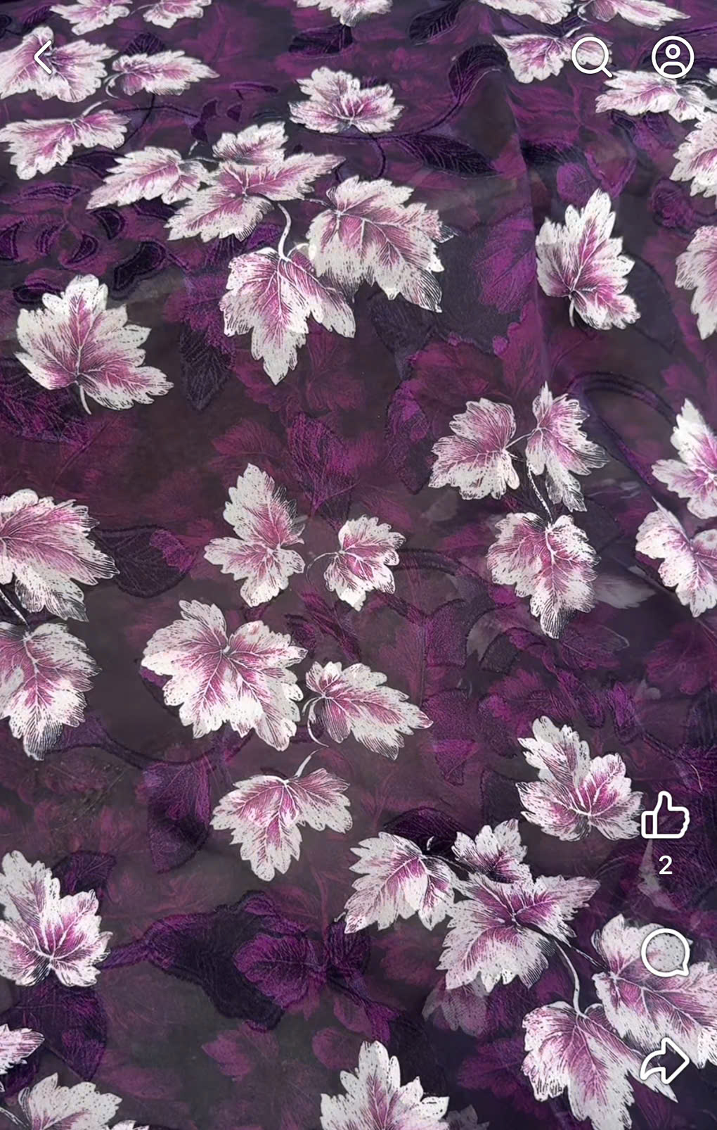 Tằm silk Nhật