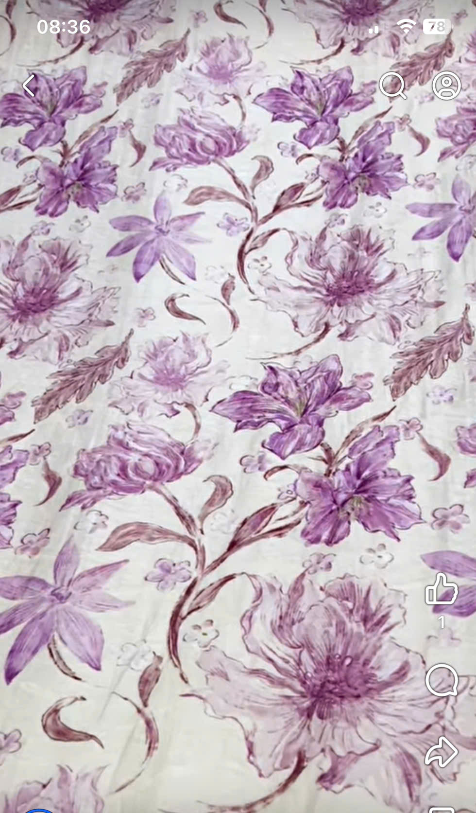 Tằm silk Nhật
